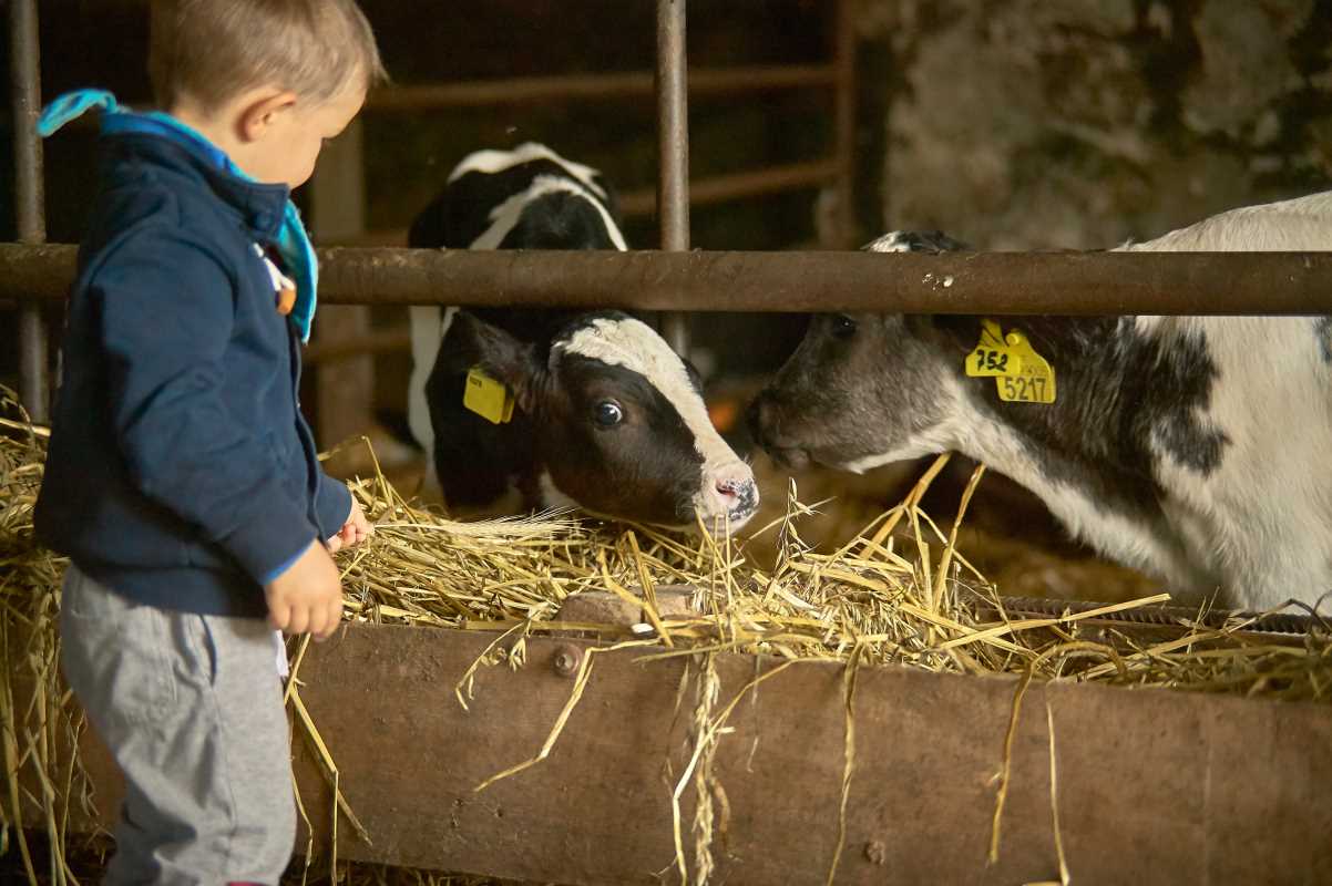 Raising Resilient Kids When Life on the Farm Gets Tough